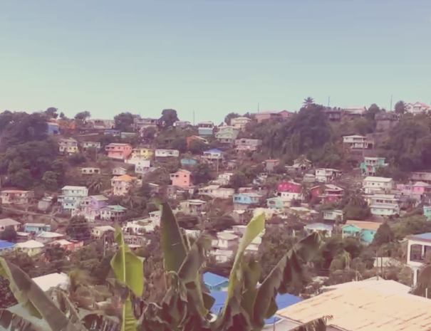 Screenshot 2025-07-01 at 11.12.19 AM